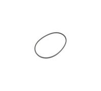 Electrolux Joint de porte pour sèche-linge 1366063111, 8581366063114