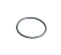 Joint bac à filtre d'origine Lave-vaisselle (481246668503 BAUKNECHT IGNIS KITCHENAID RADIOLA IKEA SMEG IKEA WHIRLPOOL LADEN WHIRLPOOL)