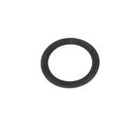 Electrolux Joint de bac à sel pour lave-vaisselle 111919601