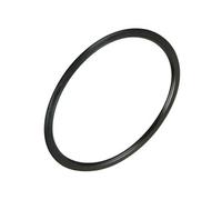 Joint collecteur d'eau Lave-vaisselle 481253268099 WHIRLPOOL, BAUKNECHT, IGNIS, LADEN, IKEA WHIRLPOOL, KITCHENAID, MAYTAG, SMEG - 294847 G