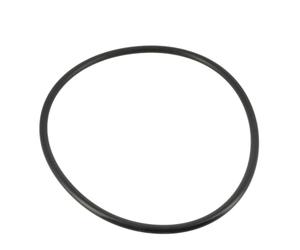 JOINT COUVERCLE PREFITLRE ULTRAFLOW R39300600 pour pompe de piscine