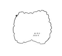 Joint couvre culbuteurs REINZ 71-53199-00