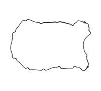 Reinz Joint de cache-culbuteurs 71-10905-00 caoutchouc polyacrylique pour Jaguar, Land Rover
