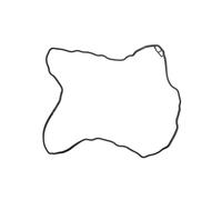 Joint couvre culbuteurs REINZ 71-37703-00