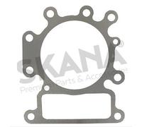 Joint culasse adaptable BRIGGS & STRATTON pour modèle 31 Series - Remplace origine: 699168 796584