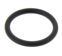 Joint de bouchon 6.363-468.0 pour Nettoyeur vapeur
