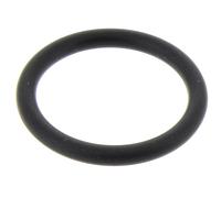 Joint de bouchon 6.363-468.0 pour Nettoyeur vapeur