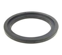 Joint de bride d=105 60002697 pour Chauffe-eau Ariston G