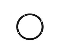 Hayward - Joint de Bride pour projecteur de Piscine SP0512 Eurolite - SPX0506DE