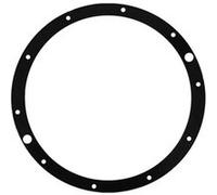 Hayward - Joint de Bride pour projecteur de Piscine SP0512 Eurolite - SPX0506DE