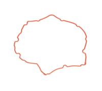 Joint de cache culbuteurs REINZ 71-38172-00 gauche