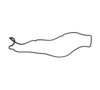 Reinz Joint de cache-culbuteurs 71-10119-00 – Supra (JZA80), GS (UZS161/JZS160), IS I