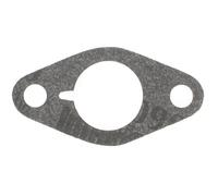 Greenstar 7488 Joint pour Carburateur Tecumseh/Tecnamotor