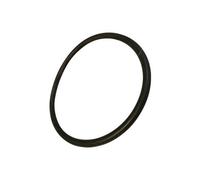 Joint de carter (bac fond de cuve) Lave-vaisselle 34421174 THOMSON, PROLINE, URANIA, VALBERG - 295800 G