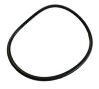 Joint de carter (bac fond de cuve) Lave-vaisselle 34421602, 576566 THOMSON