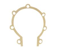 Joint de carter d'allumage P2R 208898