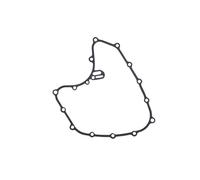 Joint de carter de moto universel, joint magnéto for modèles 250, 390, RC390(Coil Pad)