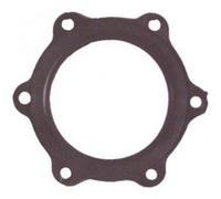 Generique Joint de chauffe-eau Ariston 924002 Ø 110 6 trous