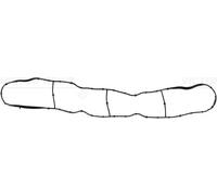 REINZ 71-20916-00 Joint de collecteur d'admission