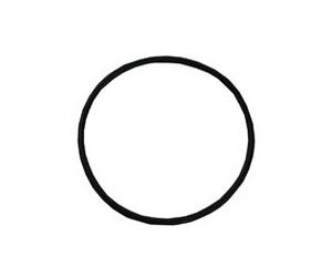 Joint de couvercle de panier de préfiltre pour pompe de filtration de piscine Ultra-Flow