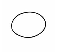 Joint de couvercle de préfiltre pour pompe Sunbay