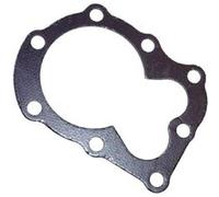 Joint de culasse 118550359/0 pour Moteur de tondeuse Ggp G