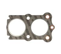 Joint de culasse ATHENA S410250001013