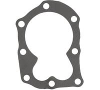 Green Star Joint de culasse 7544 adaptable pour Briggs & Stratton graphite Noir