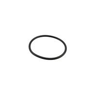 Joint de diffuseur de pompe RU9226 pour pompe de piscine Sta-rite