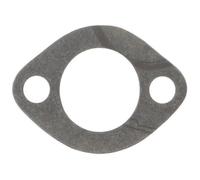 Greenstar 7460 Joint de pipe d'admission adaptable pour Briggs & Stratton