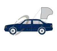 Joint de porte arrière gauche 02.53.051 TRUCKTEC AUTOMOTIVE pour MERCEDES-BENZ