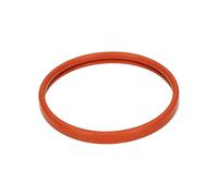 Joint de porte filtre 55mm 145847762 / 996530015878