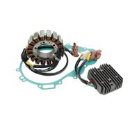 Joint De Régulateur De Tension De Stator De Générateur 1 Ensemble Pour ETV1000 Pour Capo Pour Nord 2001 2002 2003 2004 2005 2006 2007 Magnéto Stator