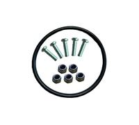 Joint d'étanchéité avec 1 jeu de vis pour pompe Intex SSP-H-20-M SSP-H-10-2 SSPH102 403M 401M et 637R Pure Spa Pump Joint torique Pure Spa Type pour pompe à eau, kit de conversion Pure Spa Pompe à eau
