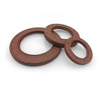 Joint d'étanchéité en caoutchouc fluoré avec squelette en fer - Joint d'arbre rotatif à double lèvre TC (diamètre intérieur 5-15 mm)(6X12X3)