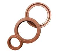 Joint D'Étanchéité Hydraulique Fkm Type Y/UN 12 X 18 X 6 mm - Joint En Fluoroélastomère Résistant À L'Huile Haute Température Pour Piston Et Tige Hydrauliques, Machines Industrielles, Lot De 2