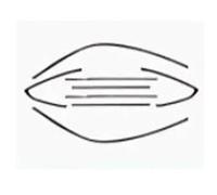 Joint D'étanchéité Pour BMW Série 3 GT F34 2013 2014 2015 2016 2017 2018 2019 Autocollant Moulure De Vitre Cache Bande Garniture De Fenêtre Joints