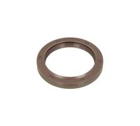Reinz Joint d'étanchéité vilebrequin 81-36671-00 FPM caoutchouc fluoré pour Land Rover Discovery II