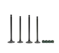 Joint d'huile de Guidage de Tige d'échappement d'admission de Valve for GN250 DR250 EN250 GZ250 M250 250cc(Valve 2 Pair)