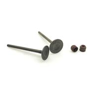 Joint d'huile de soupape de Tige d'échappement d'admission de soupape