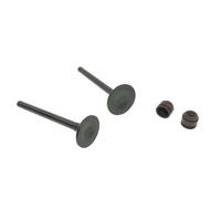 Joint d'huile de soupape de Tige d'échappement d'admission de soupape for C100