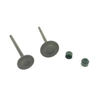 Joint d'huile de soupape de Tige d'échappement d'admission de soupape for DM125