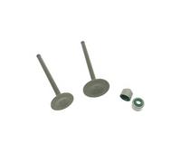 Joint d'huile de soupape de Tige d'échappement d'admission de soupape for TTR90 TTR90E 4GL-12111-11-00 4GL-12121-01-00