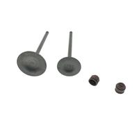 Joint d'huile de Valve de Tige d'échappement d'admission de Valve for CT 250 250i 300cc