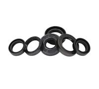 Joint d'huile squelette de joint de ressort à lèvre rainuré par NBR en caoutchouc nitrile TC - Solution à l'épreuve des conditions difficiles(15Pieces 15x25x5)