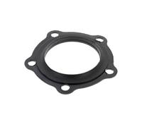 Chaffoteaux Joint embase 5 trous 60003308, 924001 pour chauffe-eau G