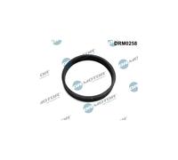 DR.MOTOR AUTOMOTIVE DRM0258 Joint, entrée de turbine (compresseur)