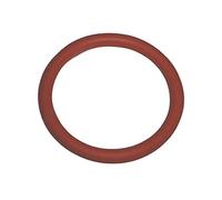 Joint filtre tamis groupe café (996530059406) pour Cafetière