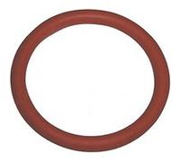 Joint filtre tamis groupe café (996530059406) pour Cafetière SAECO G