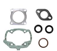 JOINT HAUT MOTEUR SCOOT ADAPTABLE PEUGEOT 50 LUDIX AIR, ONE, CLASSIC, SNAKE, TREND (POCHETTE DE 6 JOINTS) -SELECTION P2R-